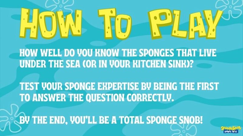 SpongeSnob Sponge Facts